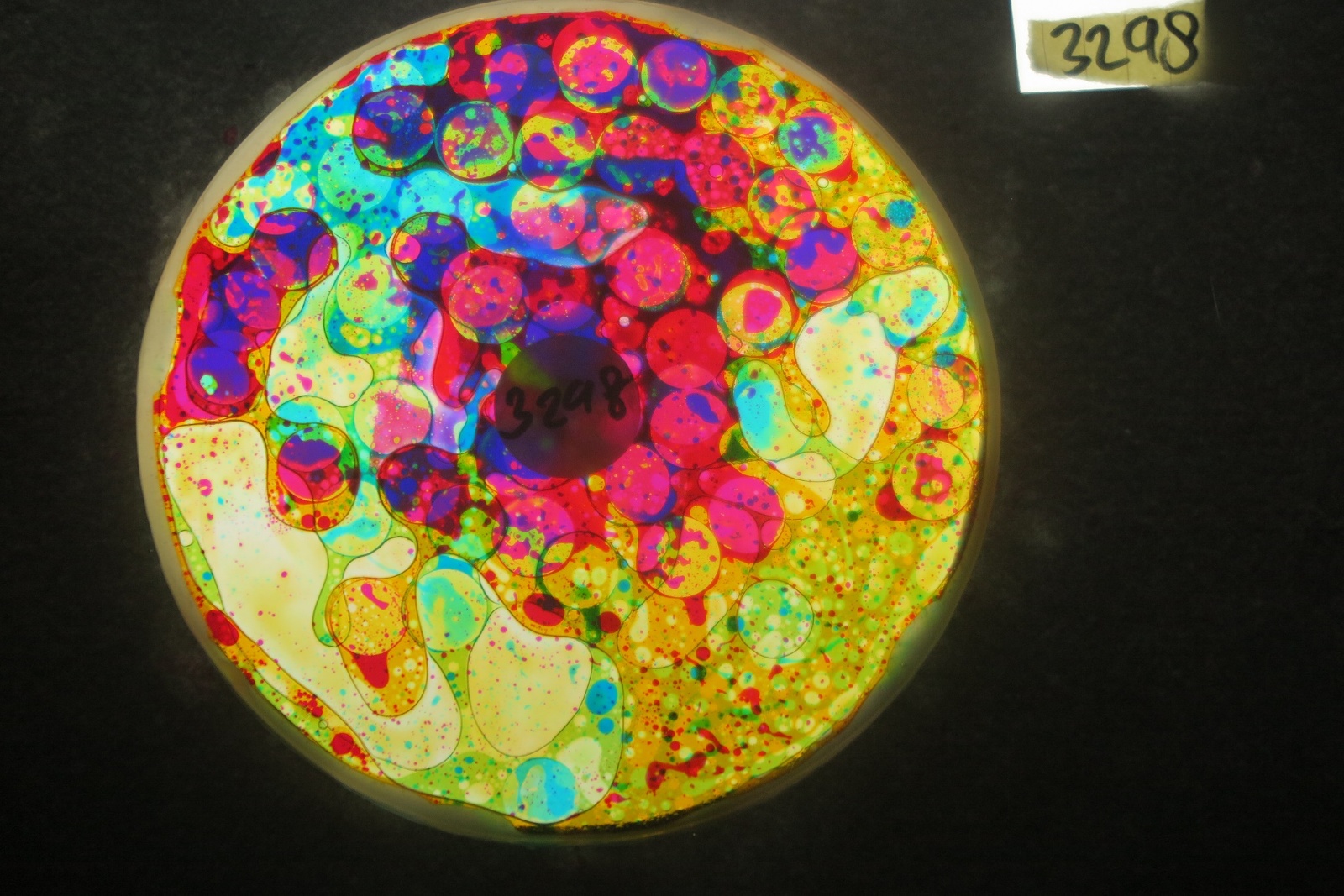 BV3298 bubble vision oil wheel